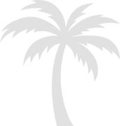 Palm Image